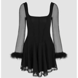 Cider Black Dress with Sheer Feathered Sleeves